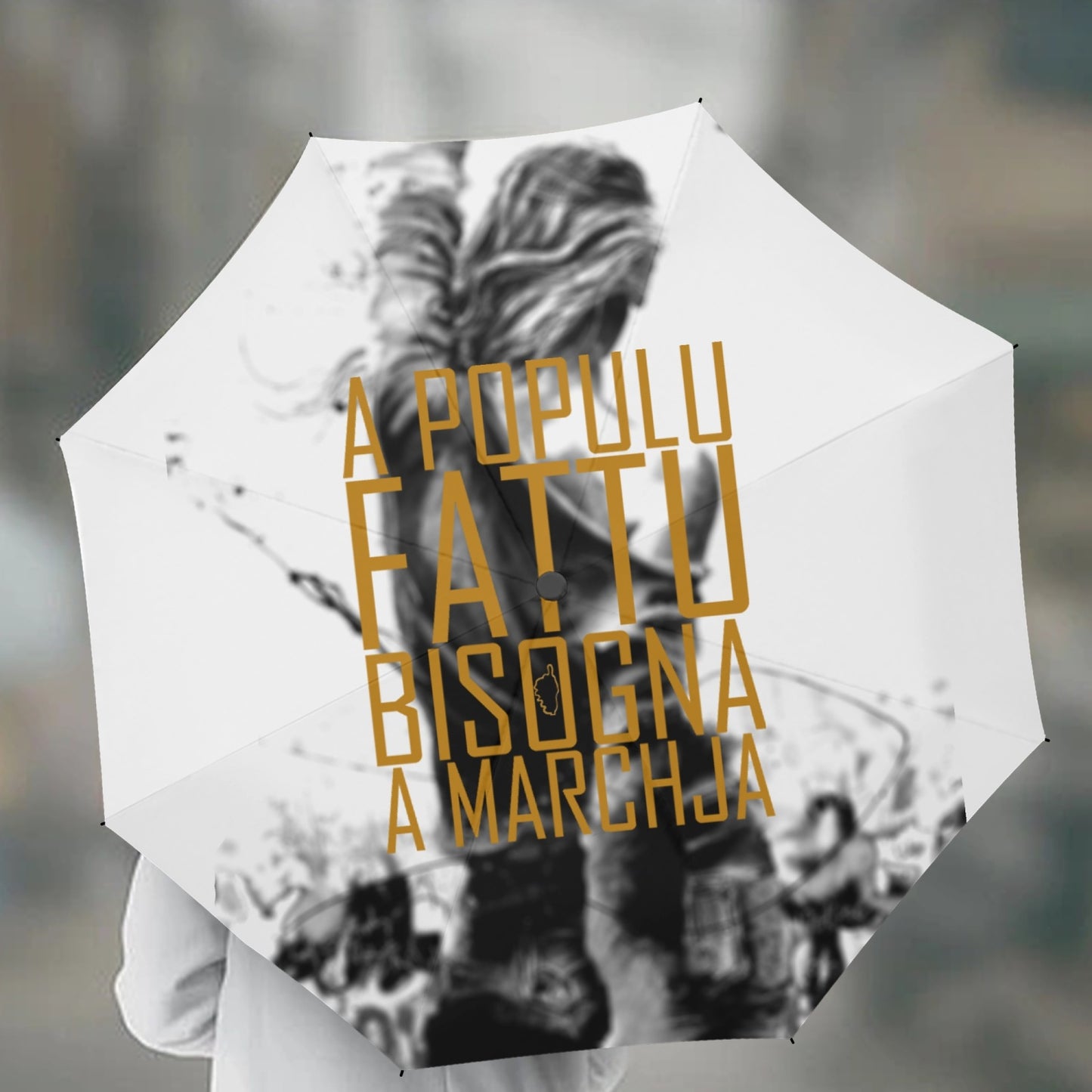Parapluie automatique en vinyle A Populu Fattu